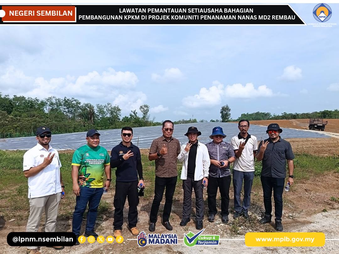 LAWATAN PEMANTAUAN SUB (PEMBANGUNAN) KPKM BAGI PROJEK KOMUNITI PENANAMAN NANAS MD2 REMBAU