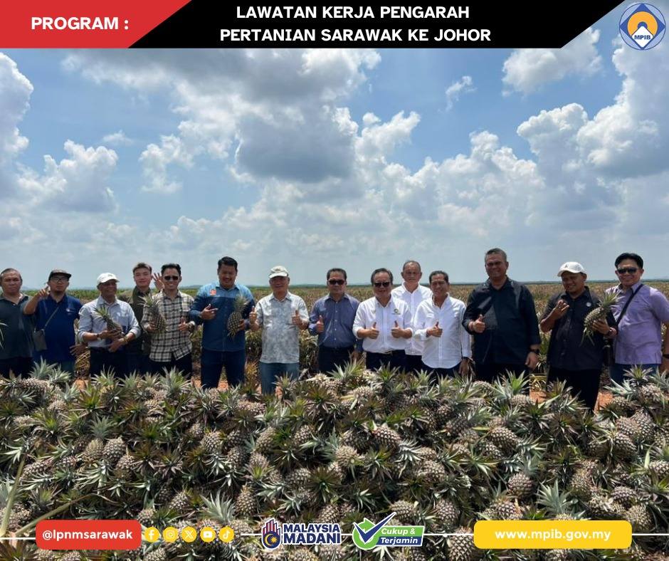LAWATAN KERJA PENGARAH PERTANIAN SARAWAK KE LADANG NANAS DAN KILANG PEMPROSESAN NANAS DI JOHOR