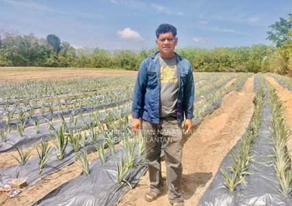 LAWATAN PEMANTAUAN SIAP TANAM DI TANAH MERAH