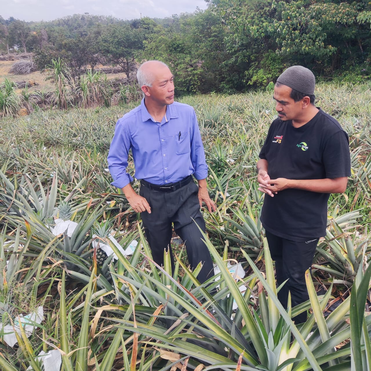 LAWATAN PENGARAH NEGERI KE KEBUN EN HASHIM YONG DI KAMPUNG SUNGAI TONG DAERAH SETIU TERENGGANU