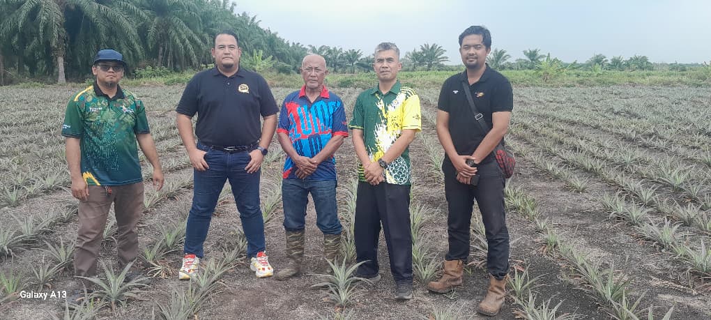 Pemantauan Projek SG1 di Ladang KOSAS
