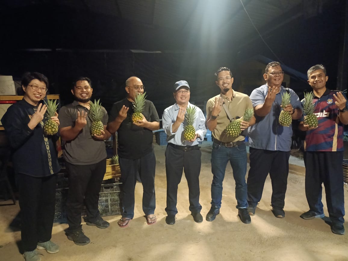 LAWATAN TAPAK PROJEK PINEAPPLE NIGHT FARMING