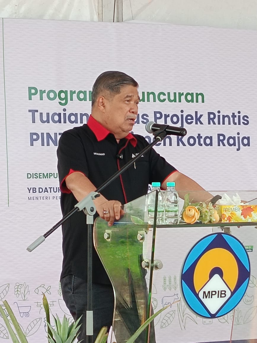 Program Peluncuran Tuaian Nanas Projek Rintis PINTAR Parlimen Kota Raja