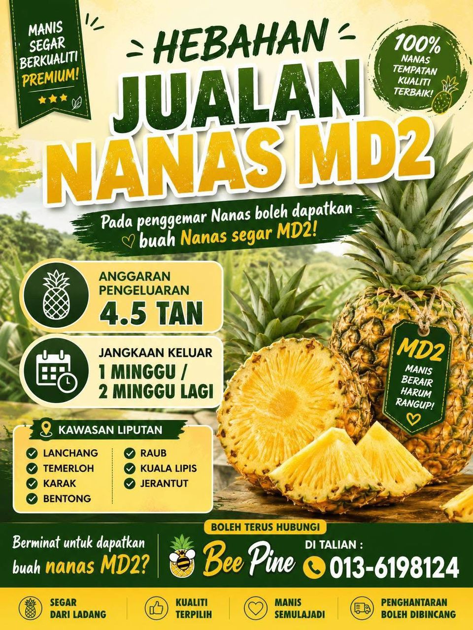 HEBAHAN JUALAN BUAH NANAS MD2