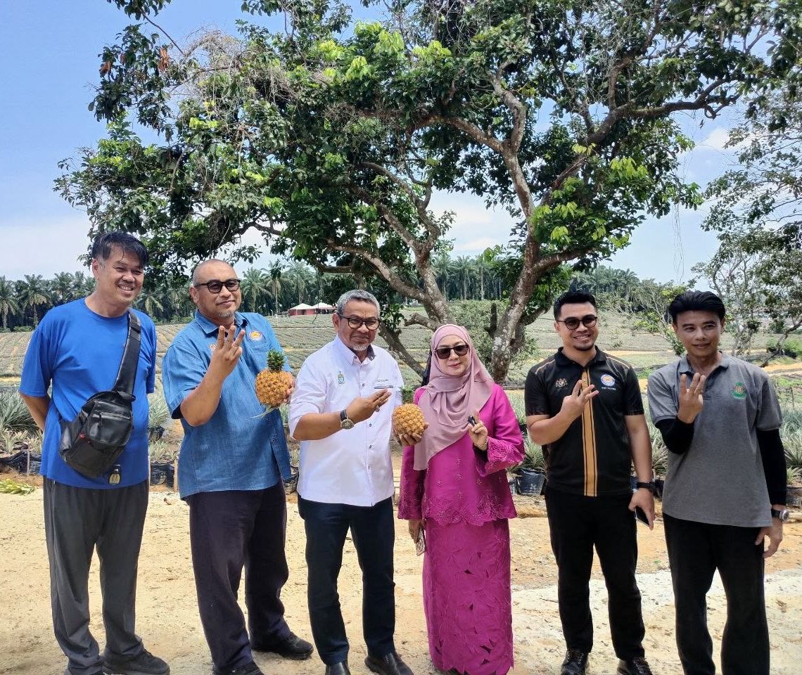 LAWATAN KERJA PENGARAH LPNM NEGERI PULAU PINANG BERSAMA YB EXCO KE LADANG NANAS SG1, SENDAYAN NEGERI SEMBILAN